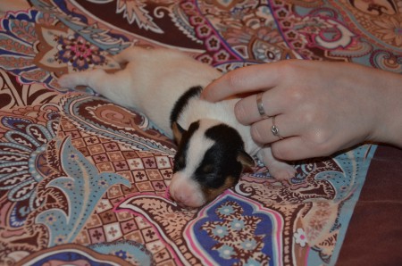 EMERALD im Massage-Modus :-)